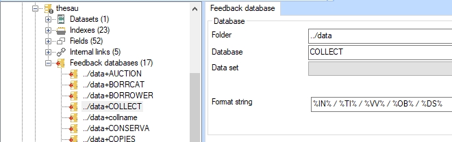 DSFeedbackDatabaseFormatString